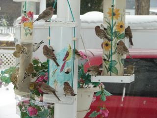 Senior Moments Finch Feeder