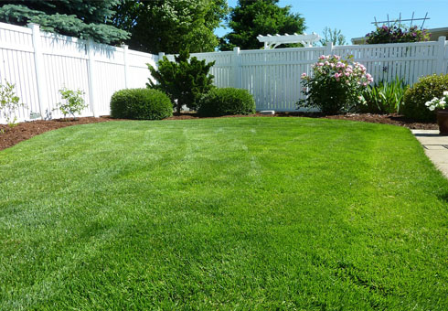 Landscape Maintenace Services at First Choice Tree Care in Junction City, WI