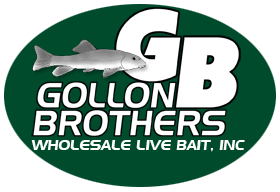 Gollon Brothers Wholesale Live Bait - Suppliers of minnows worms leeches