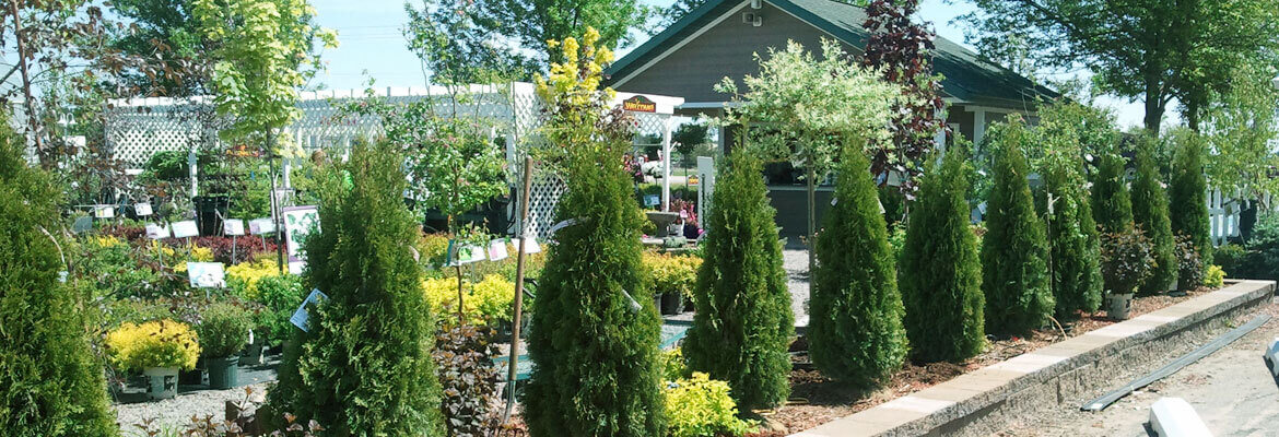 Tree Nursery and Garden Center in Stevens Point, WI