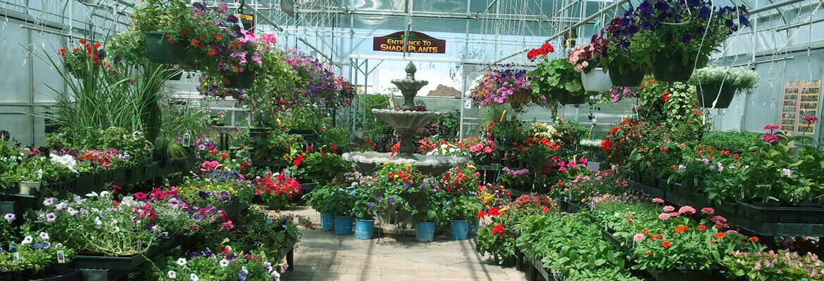 Garden Center in Stevens Point, WI