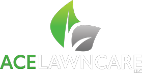 Ace Lawncare LLC in Rosholt, WI