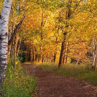 Four Seasons in Portage County makes this area a great place to live
