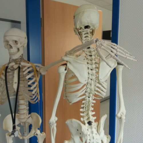 Chamber Member Chiropractor Services in Portage County, Plover, Amherst, Rosholt, Stevens Point, 