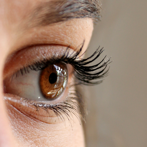 Chamber Member Eye Doctors in Portage County, Plover, Amherst, Rosholt, Stevens Point