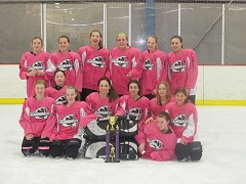 Congratulations to the Central Starz 14U Girls Hockey Team 