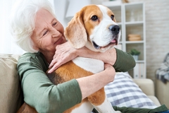 Five Benefits of Pet Friendly Assisted Living Homes 