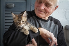 Deciding The Best Pet Option For Seniors