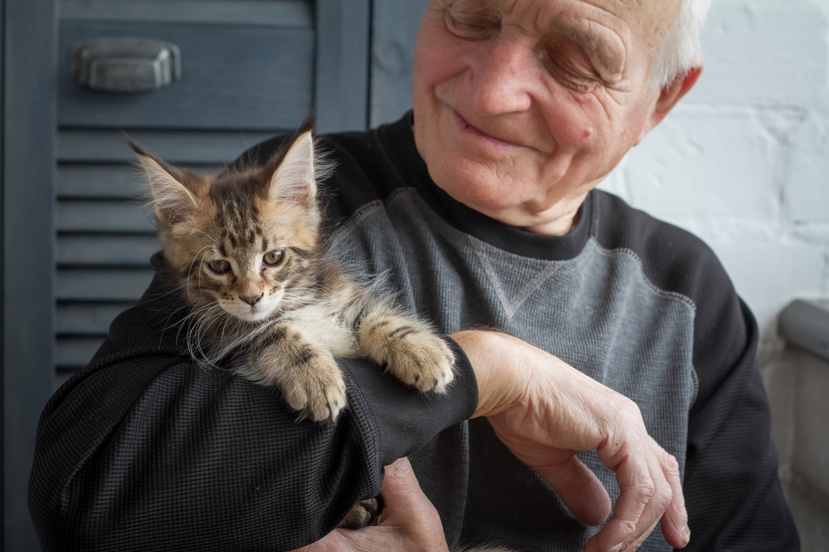Deciding The Best Pet Option For Seniors