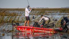 2016 FLW Tour - Lake Okeechobee Recap