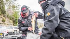 2017 FLW Tour Event #4 - Lake Cumberland