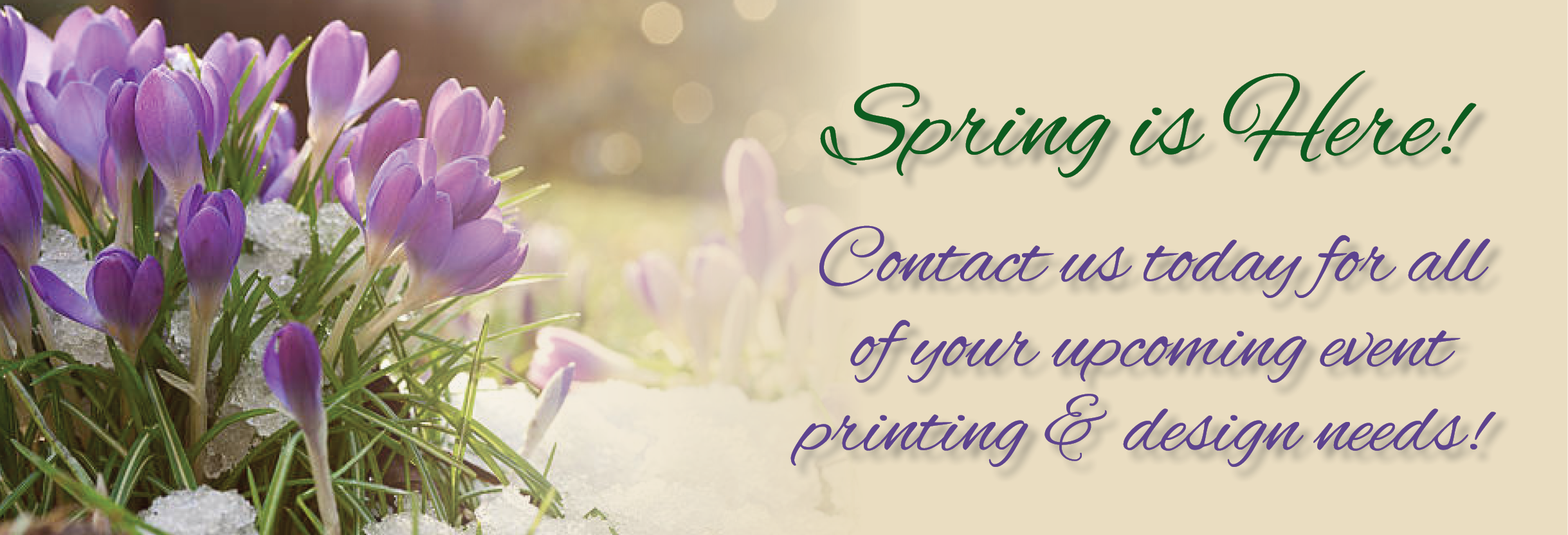 Color Printer and Copying and Graphic Designer in Stevens Point