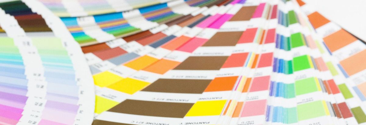Color Printer and Copying and Graphic Designer in Stevens Point