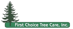 How to Successfully Plant a Tree This Arbor Day!