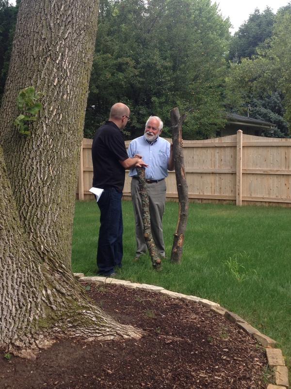 First Choice Talks with Fox 6 Studio A's Brian Kramp about Effective Watering