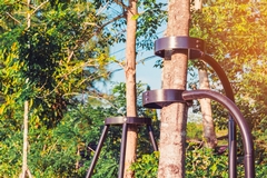 The Rising Demand for Tree Cabling and Bracing: Techniques and Benefits