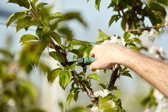 Seasonal Tree Care: Essential Maintenance Tips for Every Season