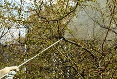 Innovative Tools and Techniques Shaping the Future of Tree Care