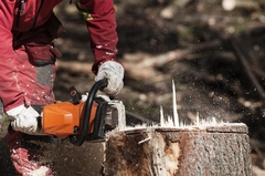 Adapting Tree & Stump Removal Operations to Seasonal Challenges