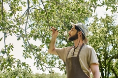 Decoding Tree Health: How to Identify and Treat Common Tree Diseases