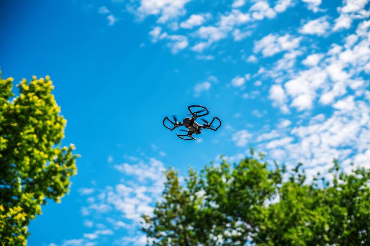 Innovations Revolutionizing Tree Care | First Choice