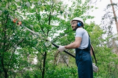 Eco-Friendly Tree Treatments: Discover the Green Solutions Taking Root