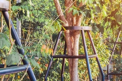 Storm-Proofing Your Landscape: Essential Tips for Hazard Prevention
