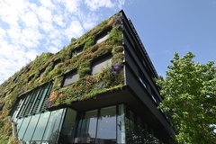 Growing Business Opportunities: How Tree Care is Potentially Expanding into Urban Landscapes