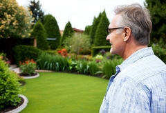 Basics of Maintenance for Your Lawn and What You Can Do Every Day