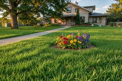 How Long After Planting Grass Seed Can You Mow?
