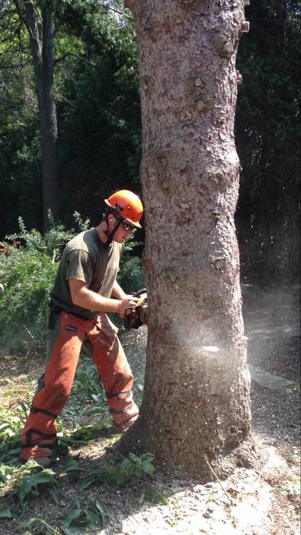 Experienced Arborists Needed in Southeastern Wisconsin