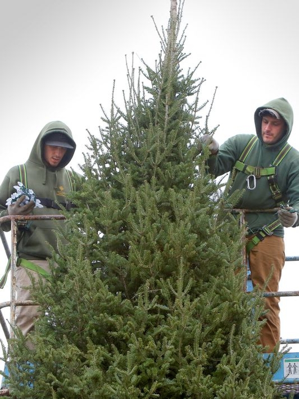 First Choice Tree Care Featured in North Shore NOW