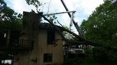 Summer Storms Take Their Toll on Wisconsin Trees