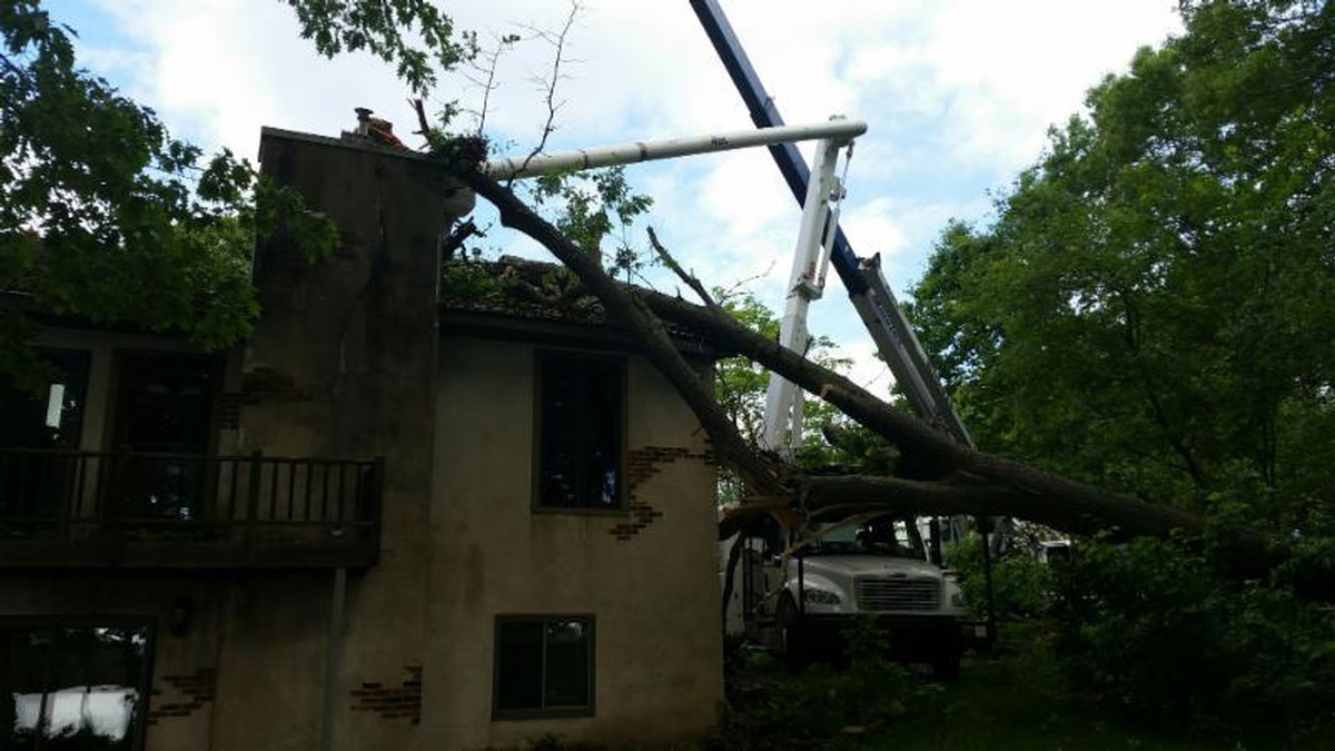 Summer Storms Take Their Toll on Wisconsin Trees 