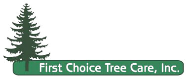 First Choice Tree Care